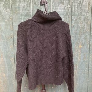 Uniqlo Chunky Knit Turtleneck Sweater